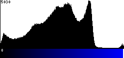 Blue Histogram