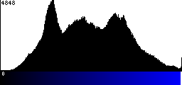 Blue Histogram
