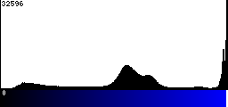 Blue Histogram