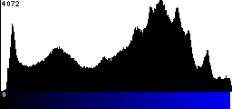 Blue Histogram