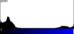 Blue Histogram