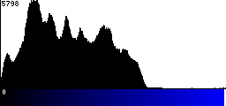 Blue Histogram