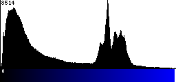 Blue Histogram