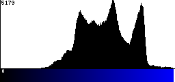 Blue Histogram