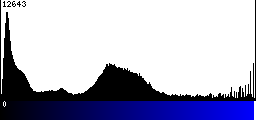 Blue Histogram