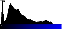 Blue Histogram