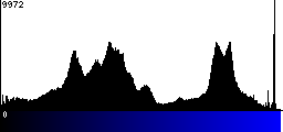 Blue Histogram