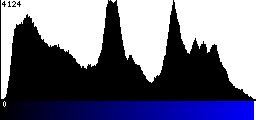 Blue Histogram