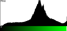 Green Histogram