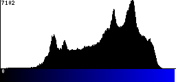 Blue Histogram