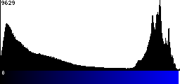 Blue Histogram