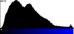 Blue Histogram