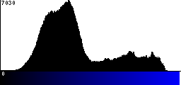Blue Histogram