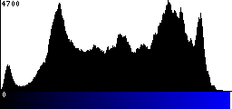 Blue Histogram