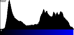 Blue Histogram