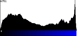 Blue Histogram