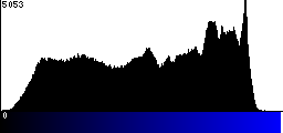 Blue Histogram