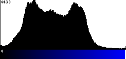 Blue Histogram