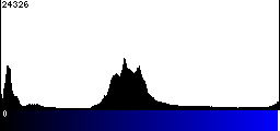 Blue Histogram