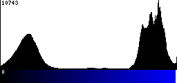 Blue Histogram