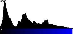 Blue Histogram