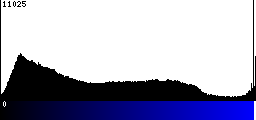 Blue Histogram