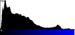 Blue Histogram