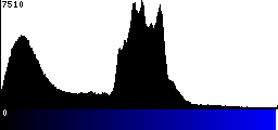 Blue Histogram