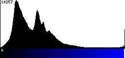 Blue Histogram