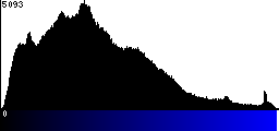 Blue Histogram