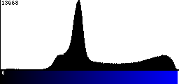 Blue Histogram