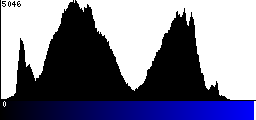 Blue Histogram