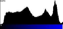 Blue Histogram