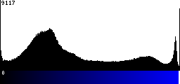 Blue Histogram
