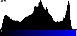 Blue Histogram