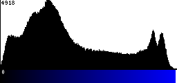 Blue Histogram