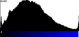 Blue Histogram