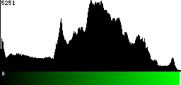 Green Histogram