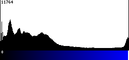 Blue Histogram