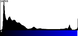 Blue Histogram