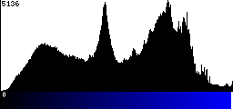 Blue Histogram