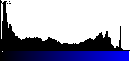Blue Histogram