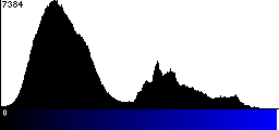 Blue Histogram