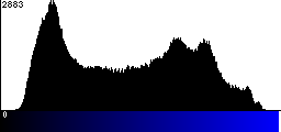 Blue Histogram