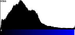 Blue Histogram