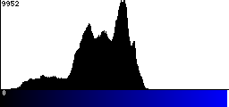 Blue Histogram