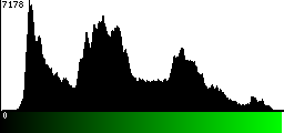 Green Histogram
