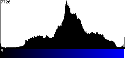 Blue Histogram