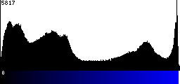 Blue Histogram