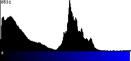 Blue Histogram